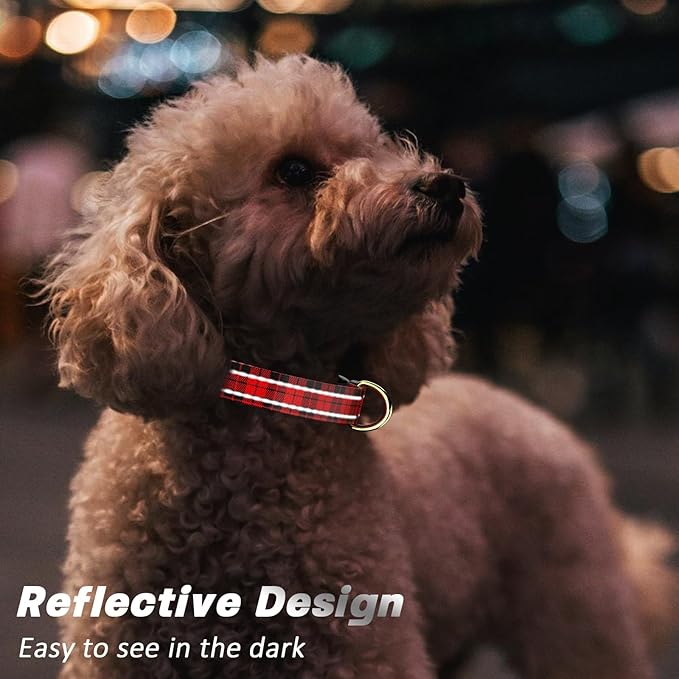 Reflective Dog Collar
