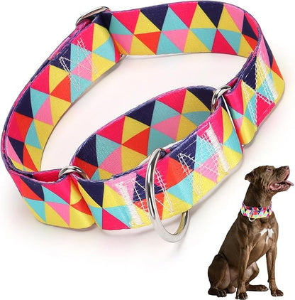 Martingale Collar 1.5 Inches Wide Dog Collar