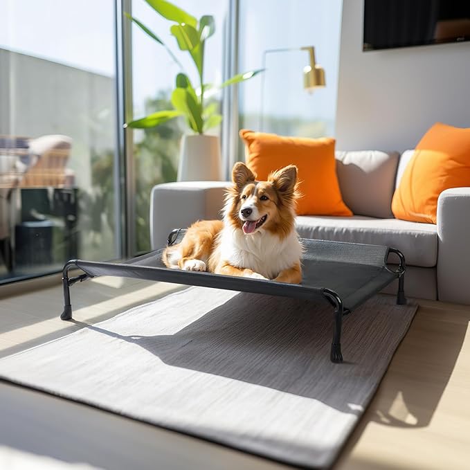 Veehoo Elevated Dog Bed CWC2404