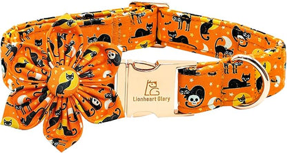 Lionheart glory Premium Halloween Dog Collars Flower Dog