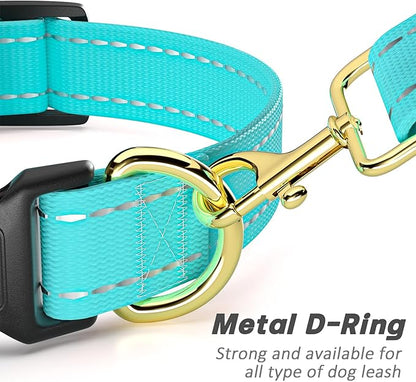 Reflective Dog Collar