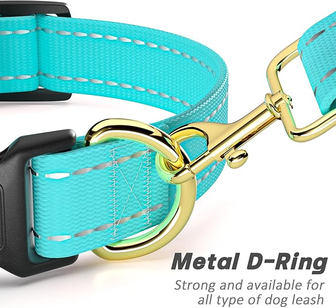 Reflective Dog Collar