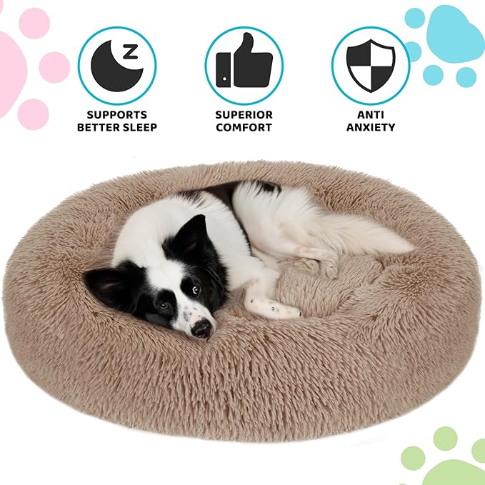 Small Dog Bed 23x23in)