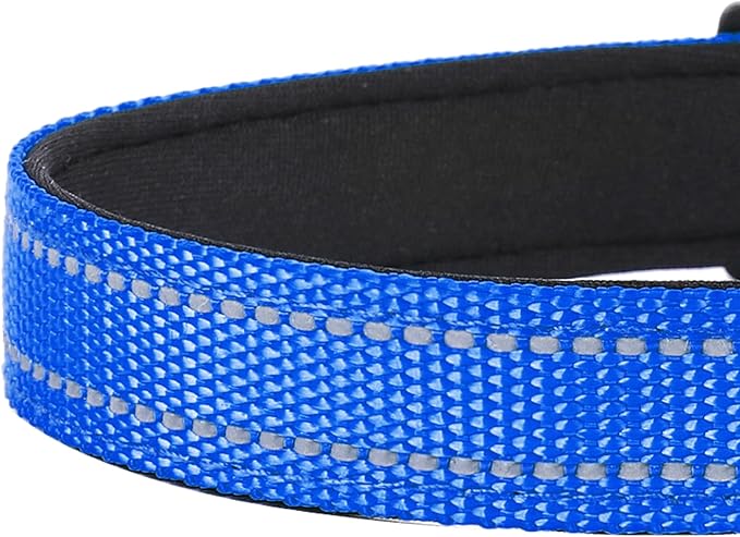Reflective Dog Collar
