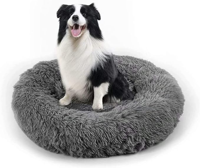 Dog Bed