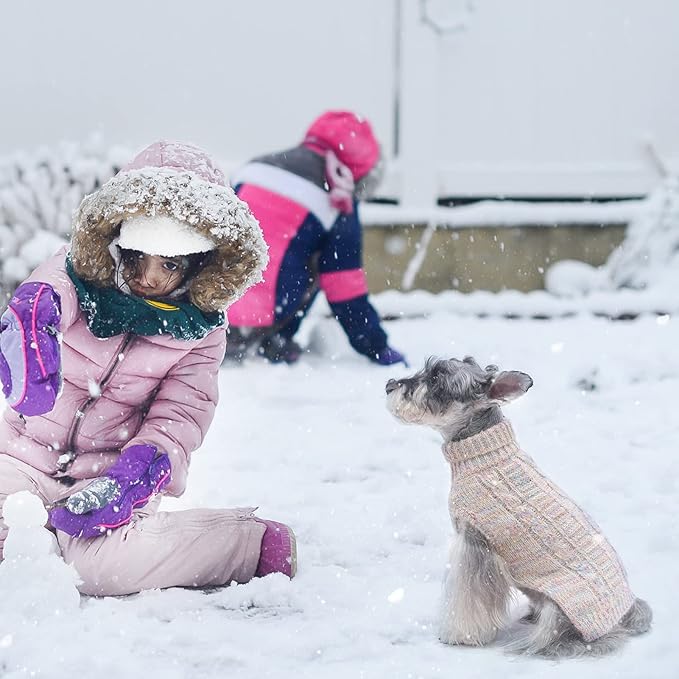 BEAUTYZOO Small Dog Sweater -Turtleneck Pullover Classic Cable Knit Fuzzy Winter Coat Dog Cold Weather Clothes for Small Medium Dogs Puppy Girl Boys(Gradient Beige, XS)