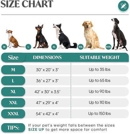 Medium Dog Bed for Dogs up to 35