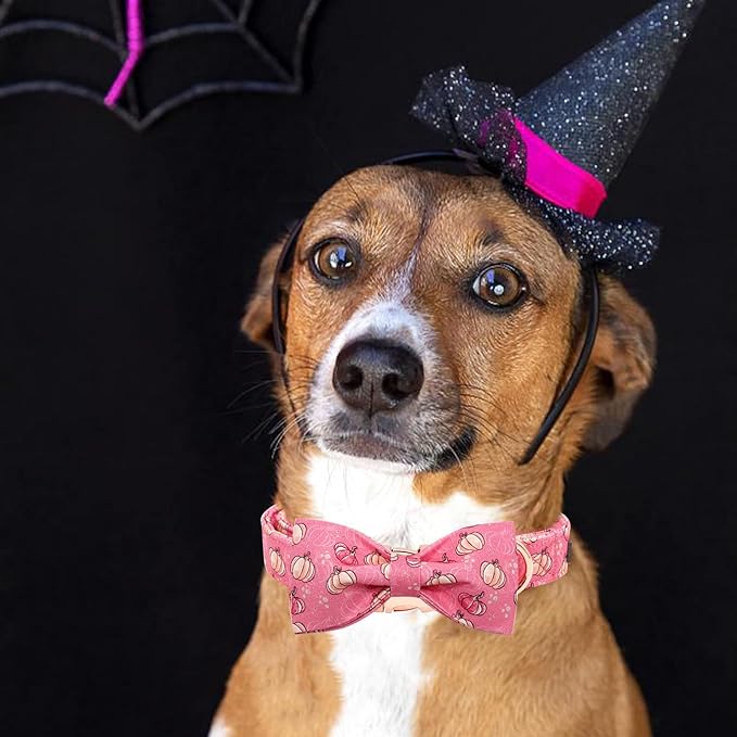 Elegant little tail Dog Collar with Bow