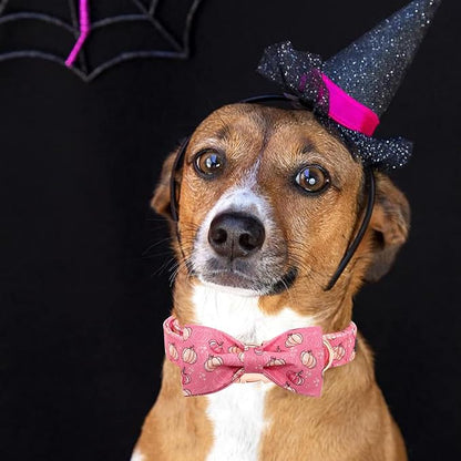 Elegant little tail Dog Collar with Bow