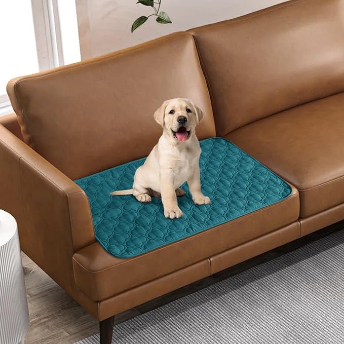 RBSC Home Waterproof Sofa Cover Dog Bed Cover