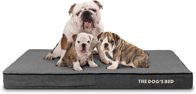 The Dog’s Bed Orthopedic Memory Foam Dog Bed 46x28x4, Pain