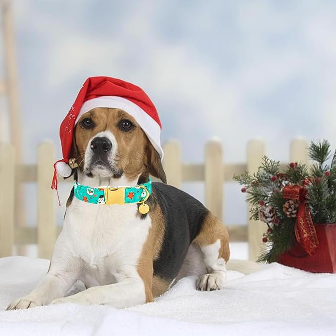 Christmas Dog Collar 16-24in