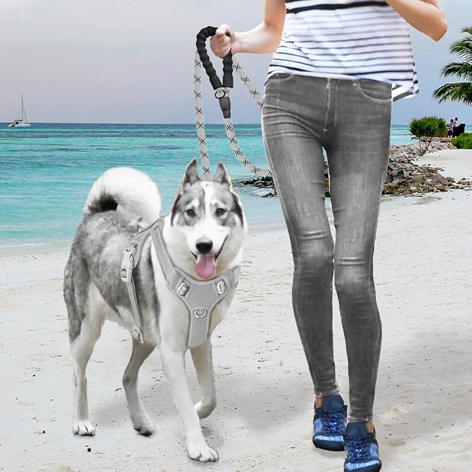 BARKBAY No Pull Dog Harness Large Step in Reflective Dog Harness with Front Clip and Easy Control Handle for Walking Training Running with ID tag Pocket(Grey
