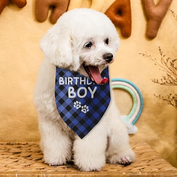Birthday Boy Dog Bandana Dog Birthday Boy Bandana