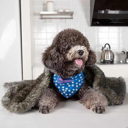 MACEVIA Fluffy Fleece Dog Blankets (24x29 Inch,