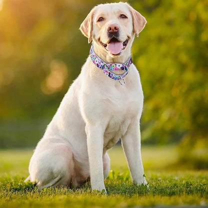 Martingale Dog Collars White4)