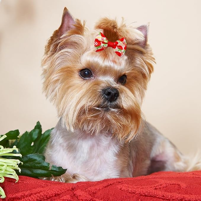 60pcs Dog Hair Bows 30 Beautiful