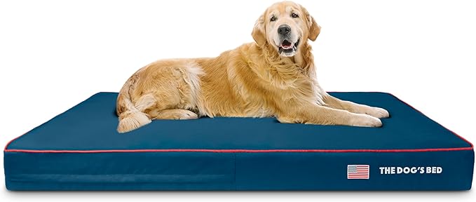 The Dog’s Bed Orthopedic Memory Foam Dog Bed 64x44, Pain