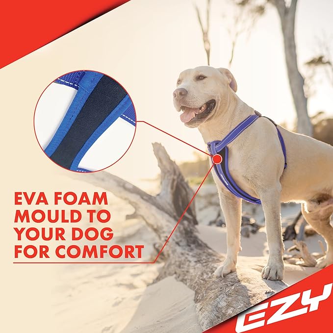 EzyDog Chest Plate Custom Fit Dog Harness (X-Large