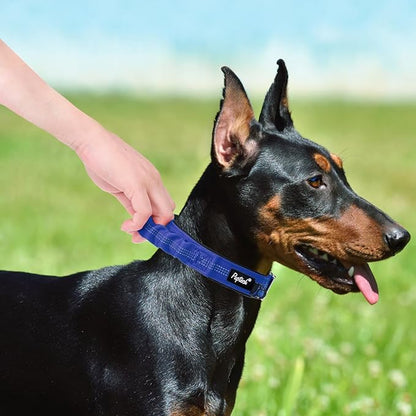 PUPTECK Heavy Duty Dog Collar with Handle Bungee for Small Medium Large Dogs