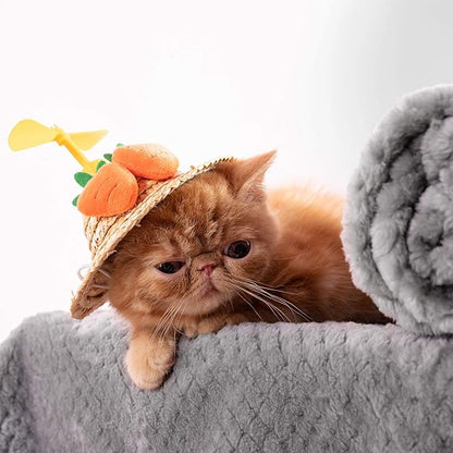 Dog Blanket or Cat Blanket or Pet Blanket (M/32" x 40", Grey)