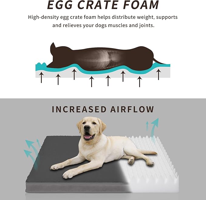 Easy-Going Dog Bed for Large Dogs (54x44x4 in,