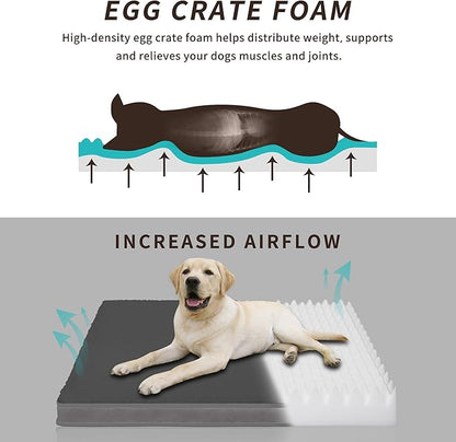 Easy-Going Dog Bed for Small Dogs (20x15x3 in,