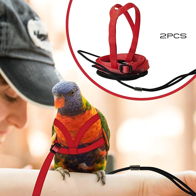 2 pcs Pet Parrot Bird Harness and Leash, Adjustable Training Design Anti-Bite, Outdoor Flying Training Rope Kit for Bird Parrots Fits Birds Chest Between24-51cm /9.45-20inch - M (red