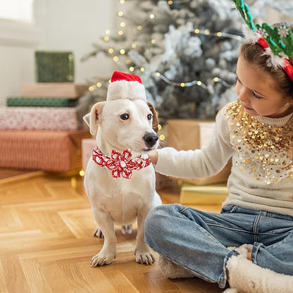 Elegant little tail Dog Collar with Flower