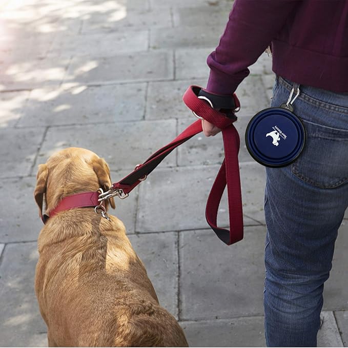 Collapsible Dog Bowls for Travel, 2-Pack Dog Portable Water Bowl for Dogs Cats Pet Foldable Feeding Watering Dish for Traveling Camping Walking with 2 Carabiners, BPA Free