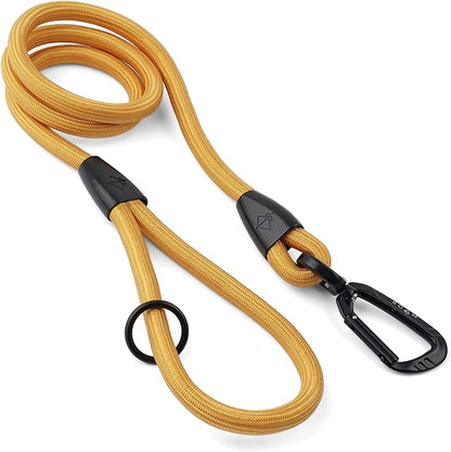 MADE TO ROAM Premium Everyday Leash 6ft (Rubber