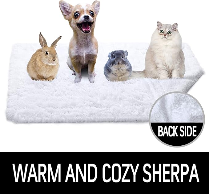 LOCHAS Luxury Fluffy Dog Blanket 20''x30'' White