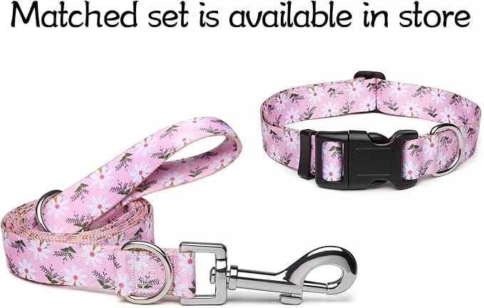 Adjustable Dog Collar with Patterns