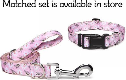 Adjustable Dog Collar with Patterns