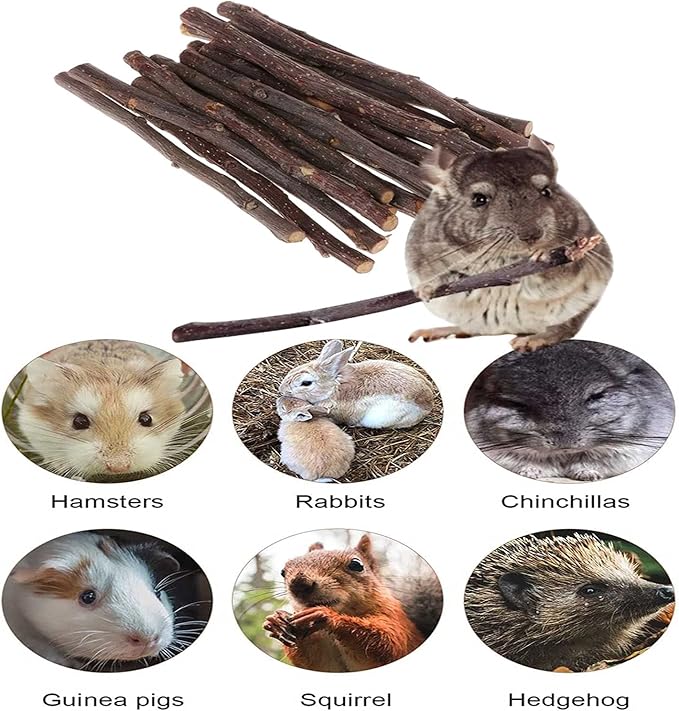 Natural Apple Sticks 18oz(500g) Small Animals Molar Wood Treats Toys Chinchilla Guinea Pig Hamster Rabbit Gerbil Parrot Bunny and Small Animals Chew Stick Toys Treats