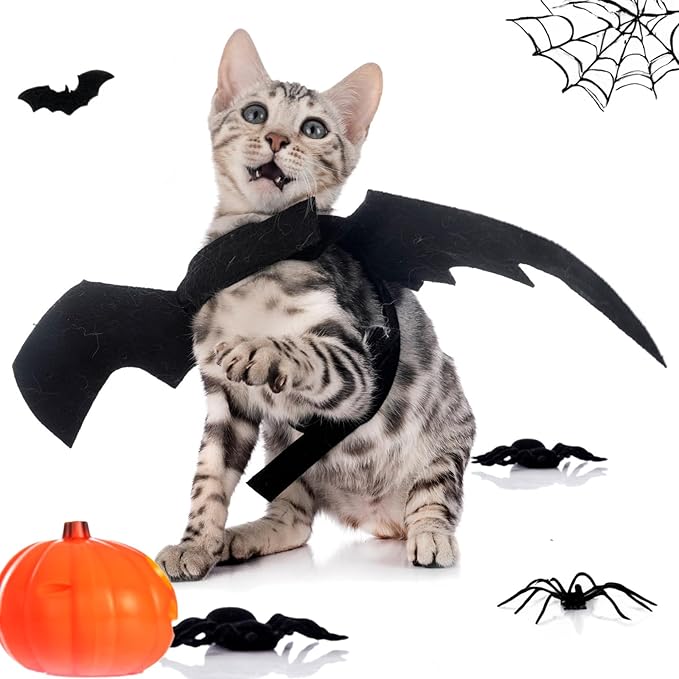 Halloween Cat Costume Black Felt Bat Wings Costume for Halloween Party Decoration, Puppy Collar Leads Cosplay Bat Clothes Small Halloween Cute Dress up Accessories Pet Apparel for Dogs & Cats Only