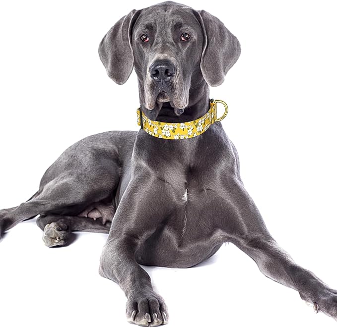 Reflective Dog Collar