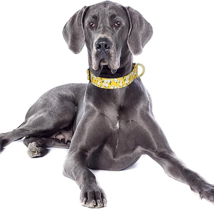 Reflective Dog Collar