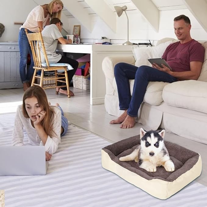 PUPPBUDD Dog Beds for Medium Dogs