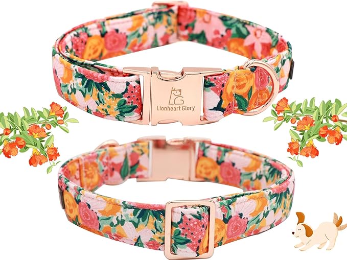 Lionheart glory Premium Floral Dog Collars Spring Dog Collar