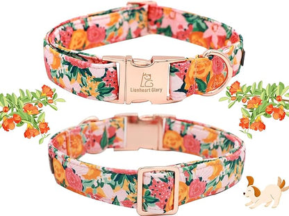 Lionheart glory Premium Floral Dog Collars Spring Dog Collar