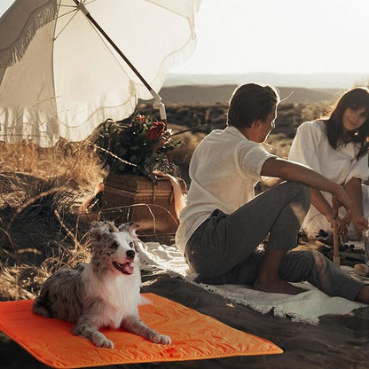 BDEUS 51x35In Extra Large Size Outdoor Dog Bed