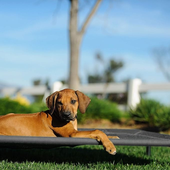Veehoo Cooling Elevated Dog Bed CWC1803-L