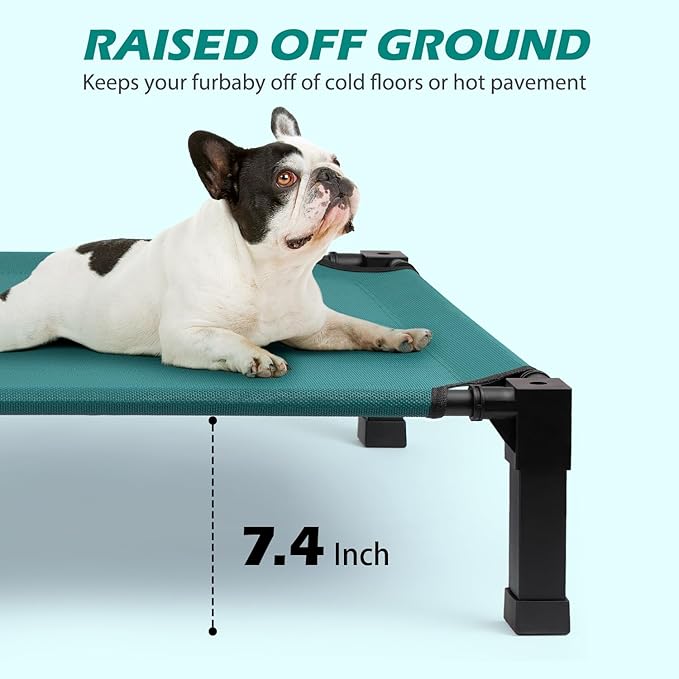 Cooling Elevated Dog Bed