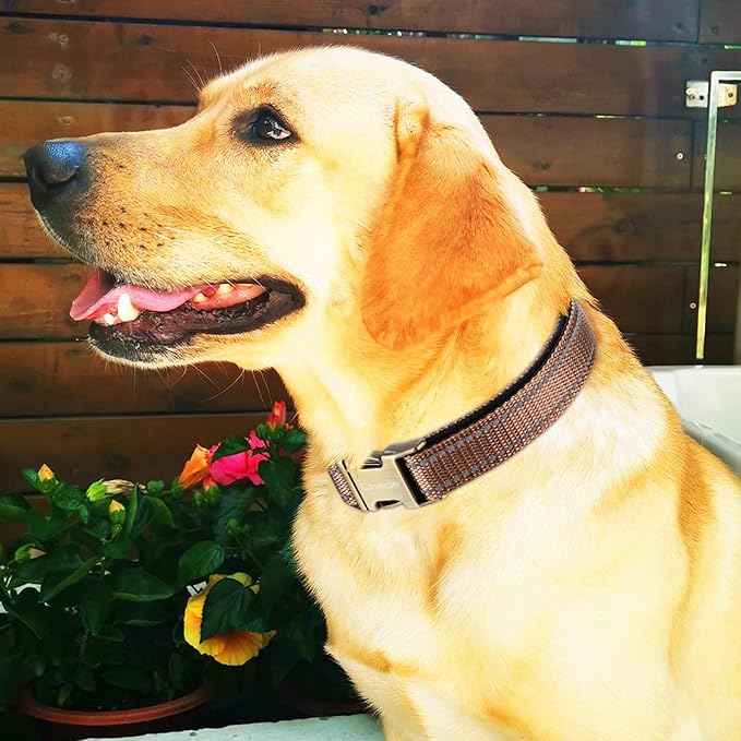 CHEDE Reflective Dog Collar