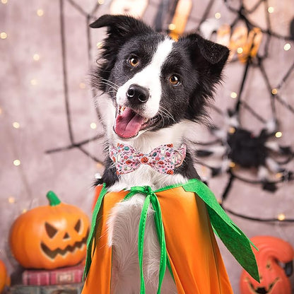 ARING PET Halloween Dog Collar-Cute Pink Dog Collar with Bow