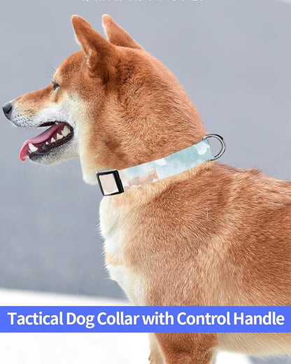 Dog Collar