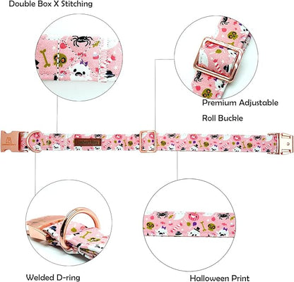 Lionheart glory Dog Collar Fall Halloween Pumpkin Collars