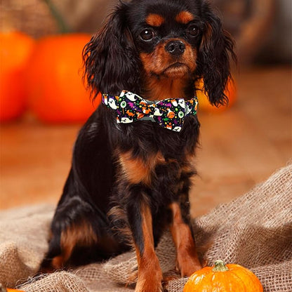 Elegant little tail Fall Dog Collar