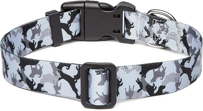 Adjustable Dog Collar with Patterns